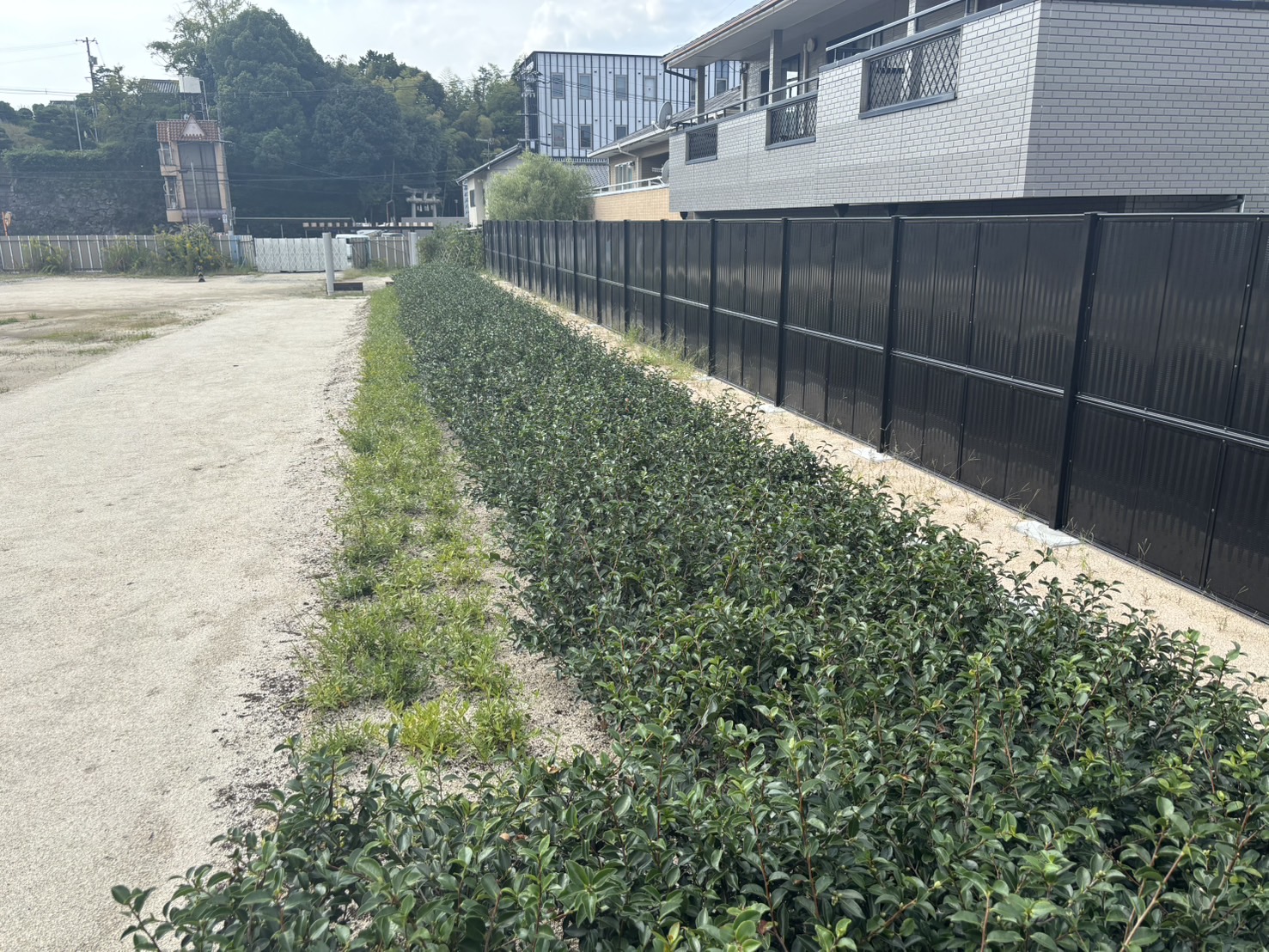 丸之内公園整備工事（その１）の2枚目の画像